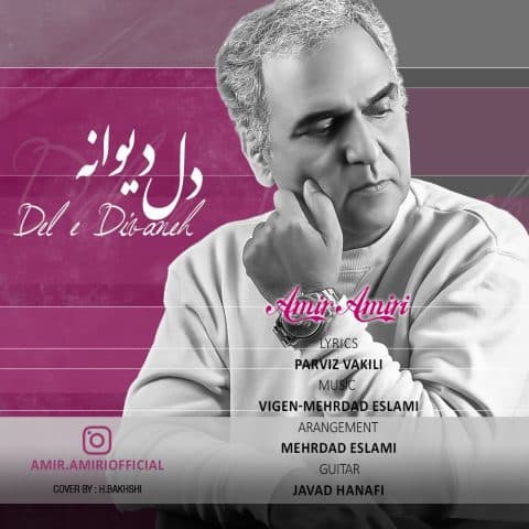 Dele Divaneh