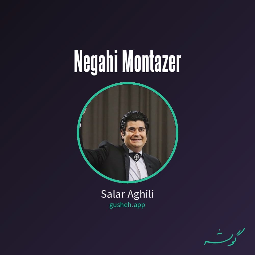 نگاهی منتظر