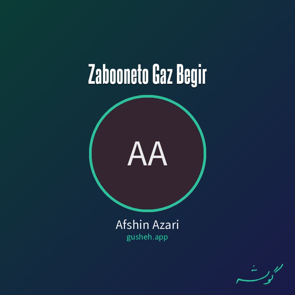 زبونتو گاز بگبر