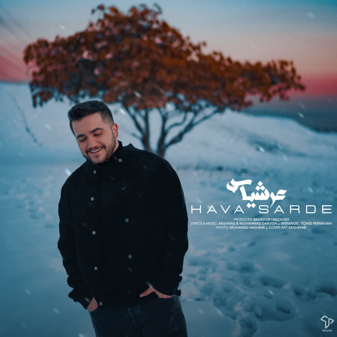 Hava Sarde