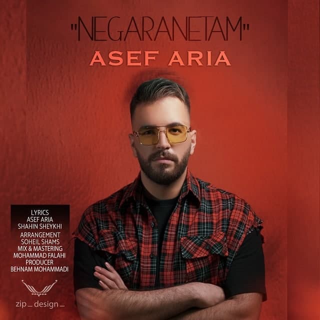 Negaranetam