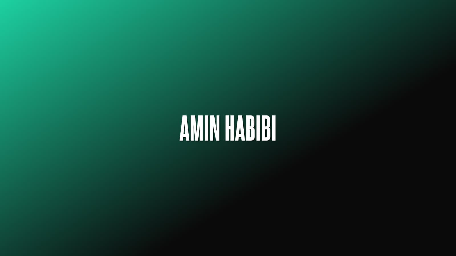 Amin Habibi