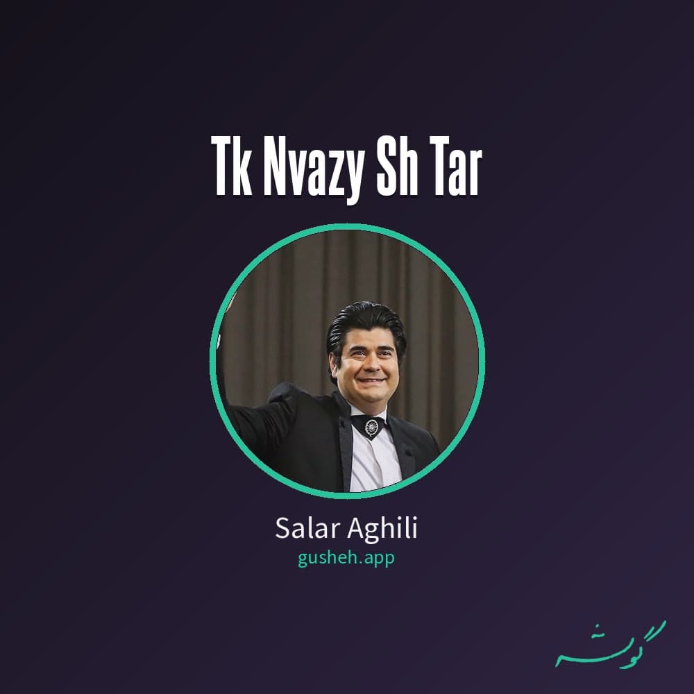 تک نوازی سه تار