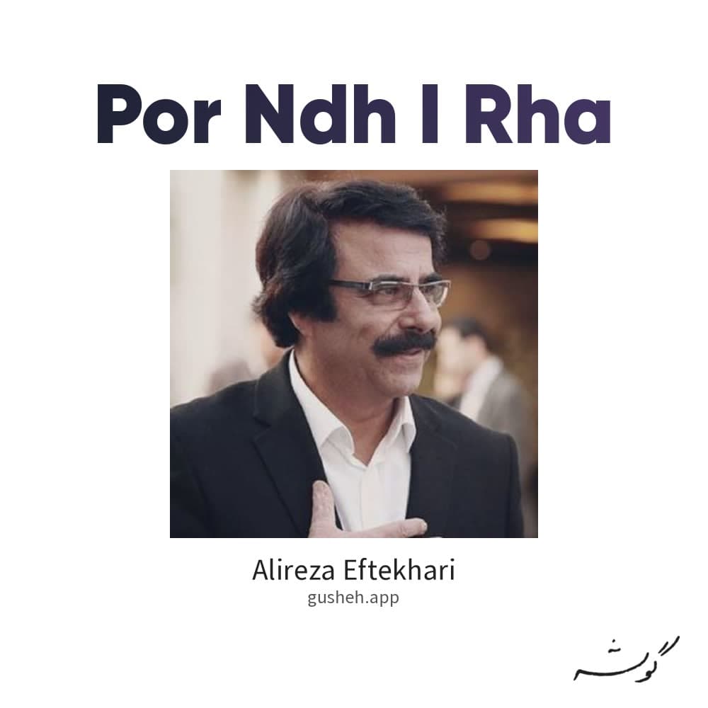 پرنده ی رها