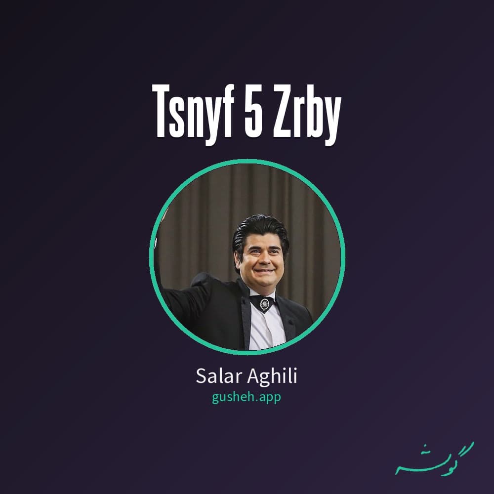 تصنیف 5 ضربی