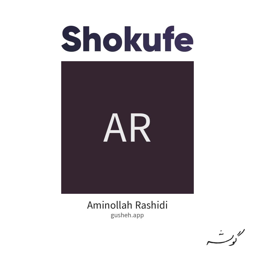شکوفه