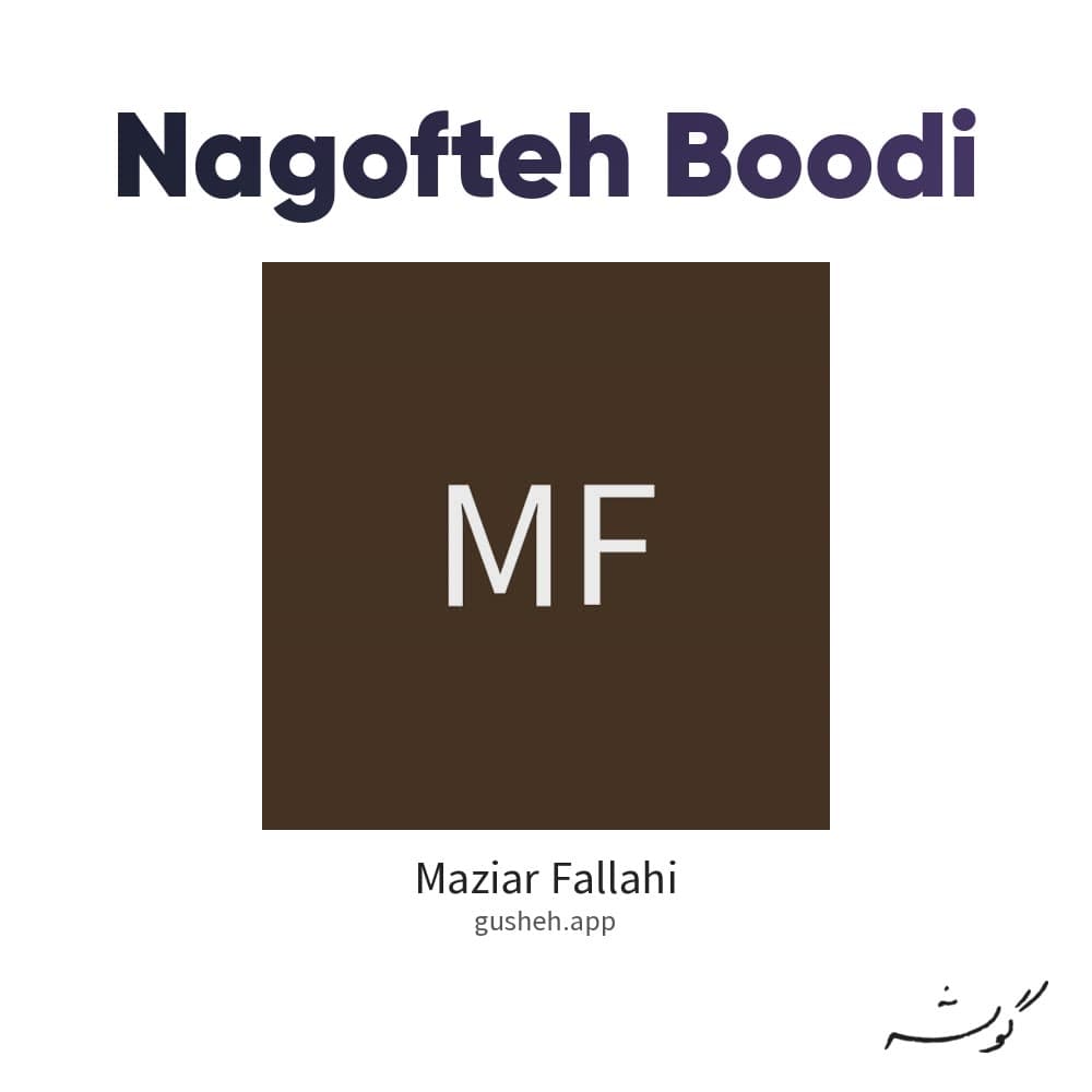 نگفته بودی