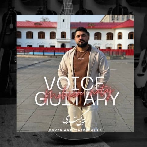 Voice Guitary