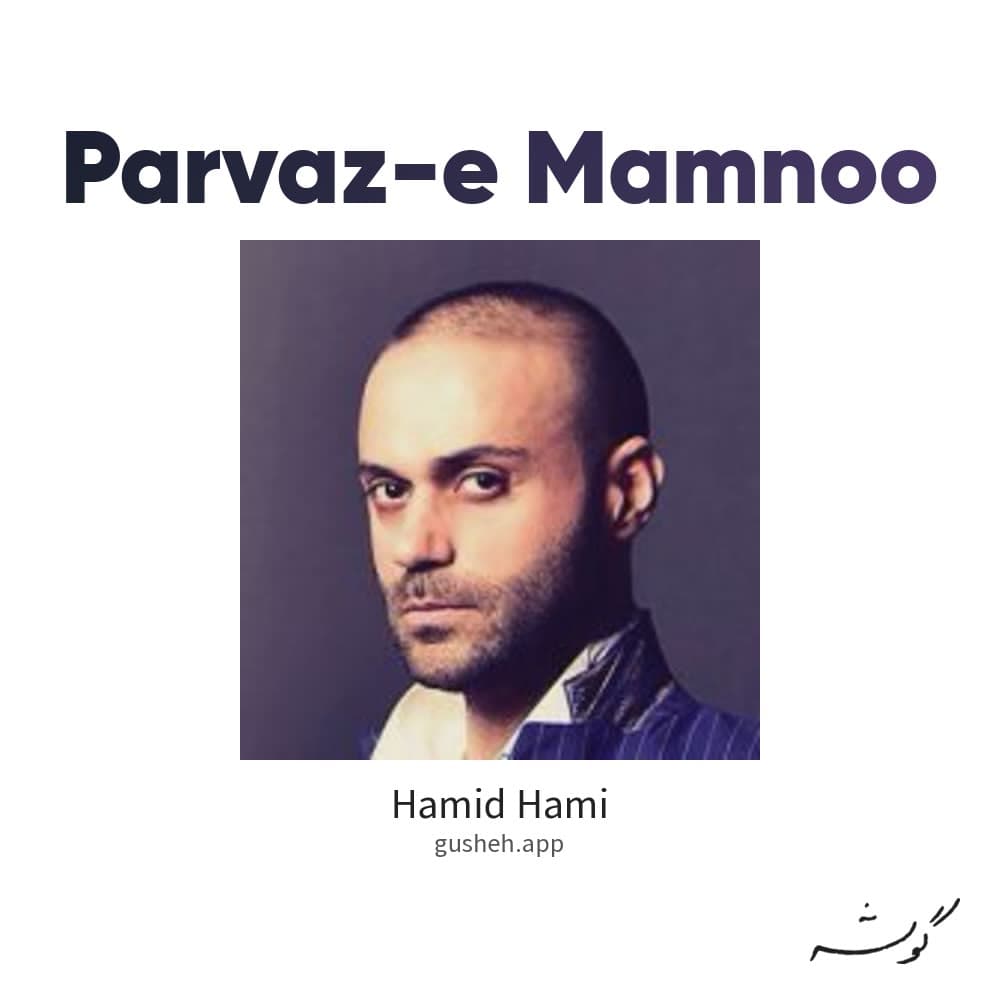 پرواز ممنوع