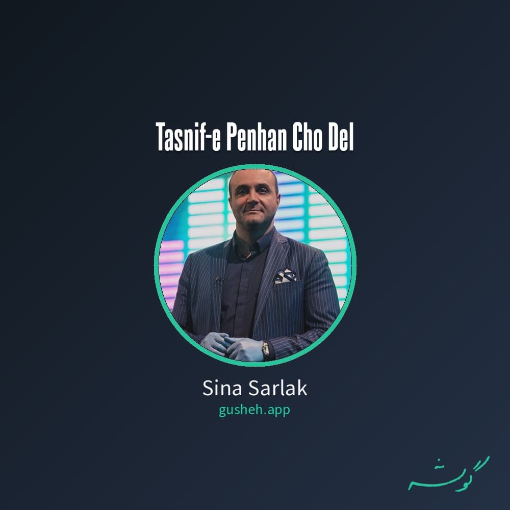 تصنیسف پنهان چو دل