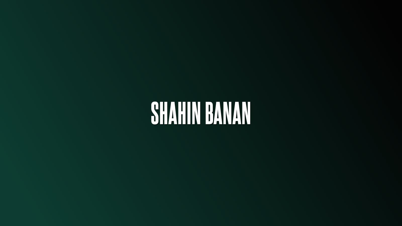 Shahin Banan