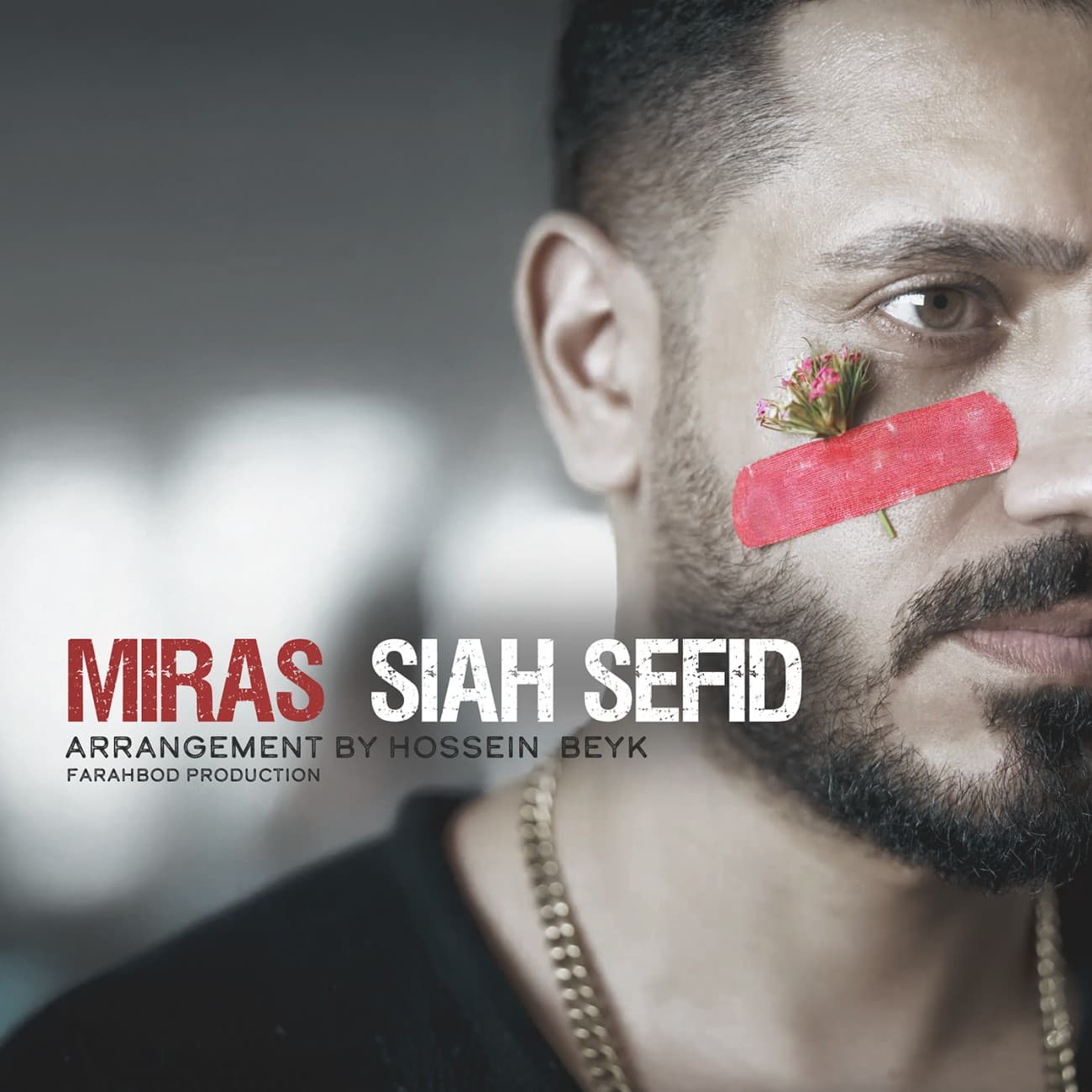 Siah Sefid