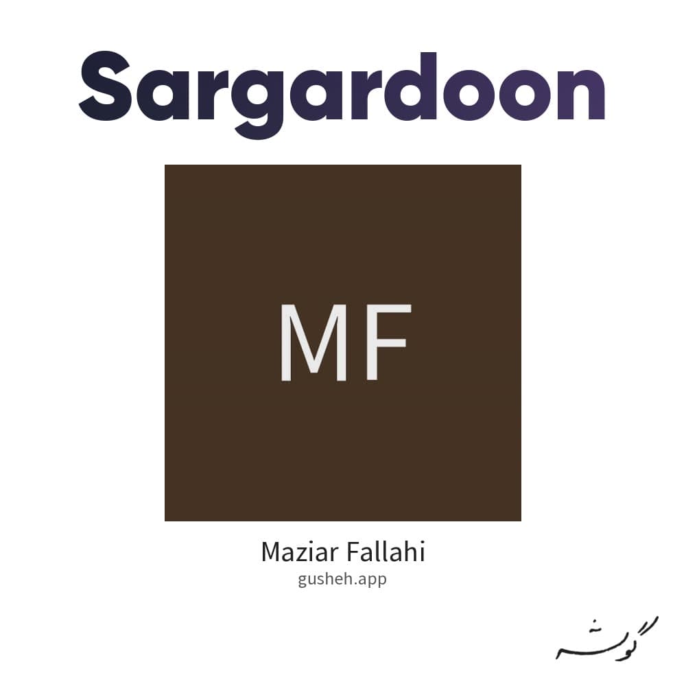 سرگردون