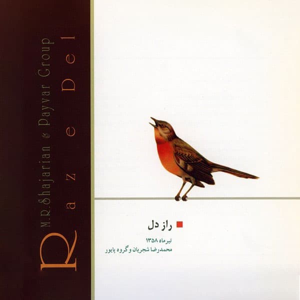 راز دل