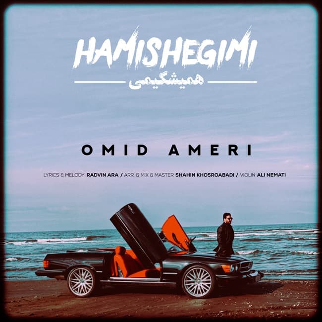 Hamishegimi