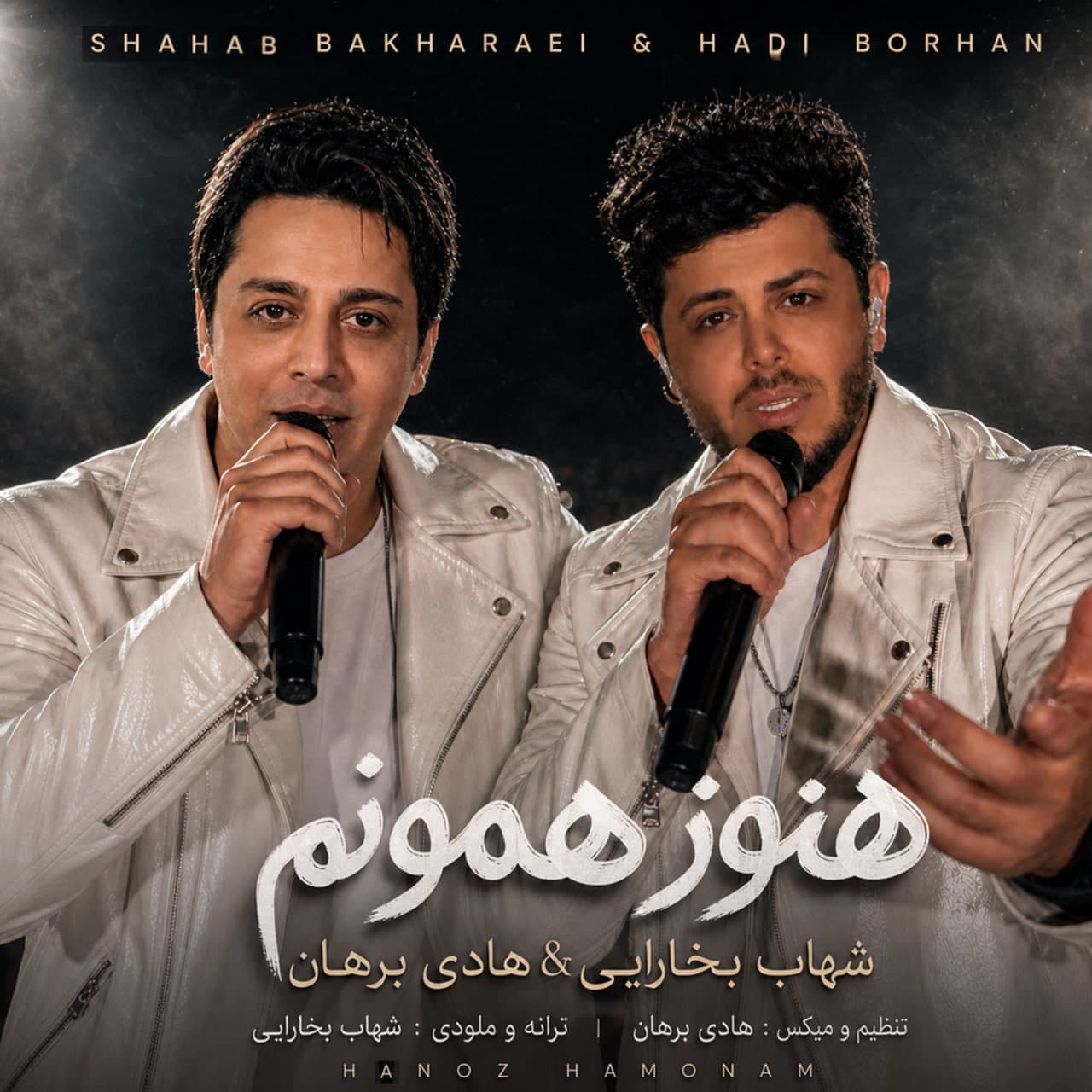 Hanooz Hamoonam Ft Hadi Borhan