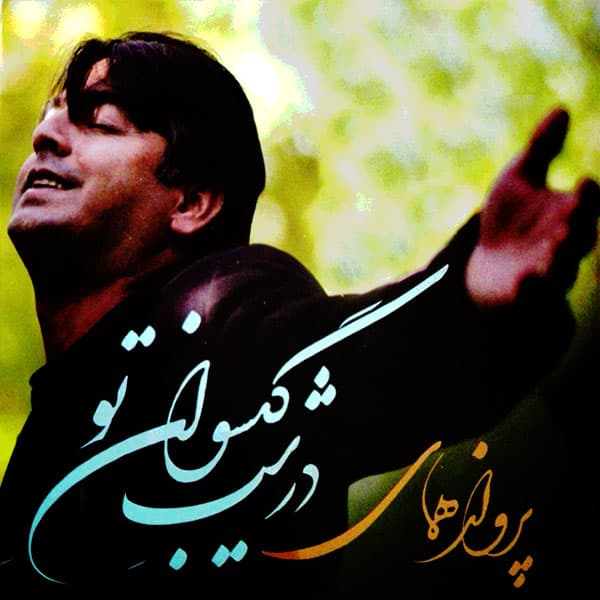 شبان آهسته می گریم